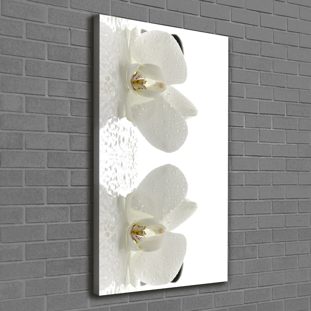 Canvas print Orchid and stones