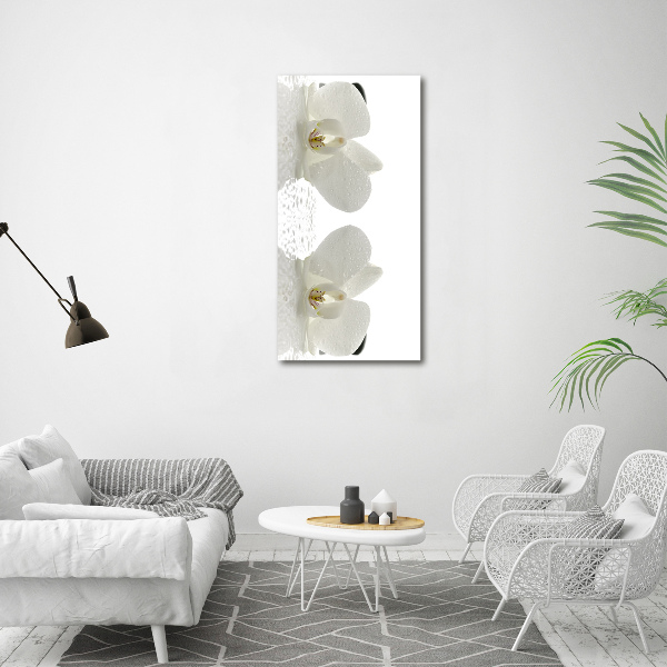 Canvas print Orchid and stones