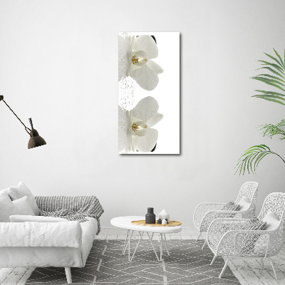 Canvas print Orchid and stones