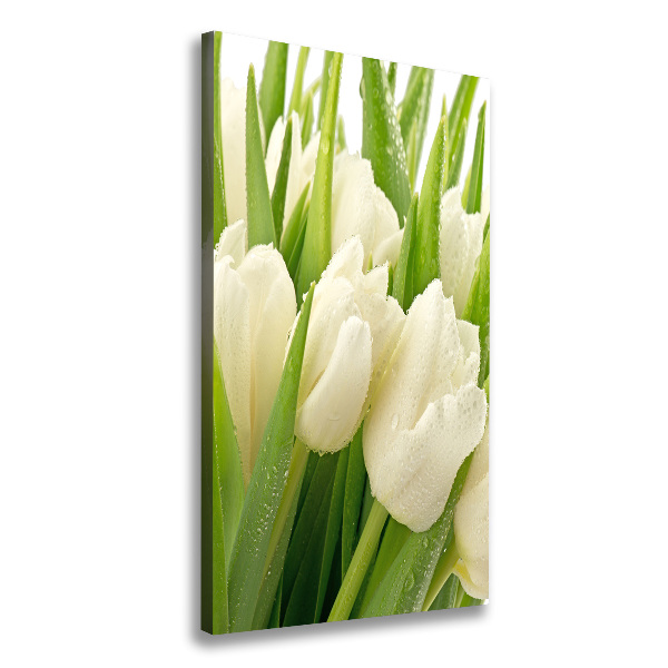 Canvas wall art White tulips