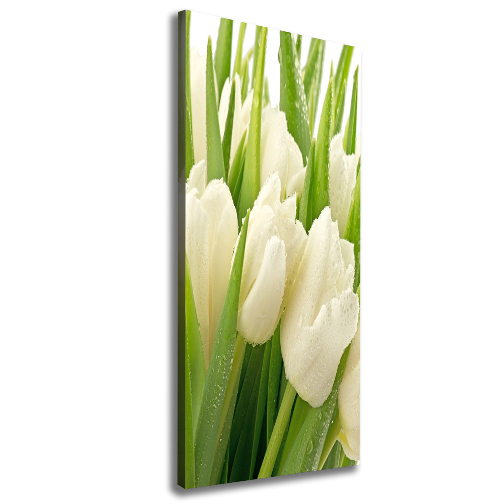 Canvas wall art White tulips