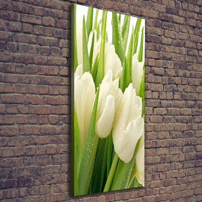 Canvas wall art White tulips