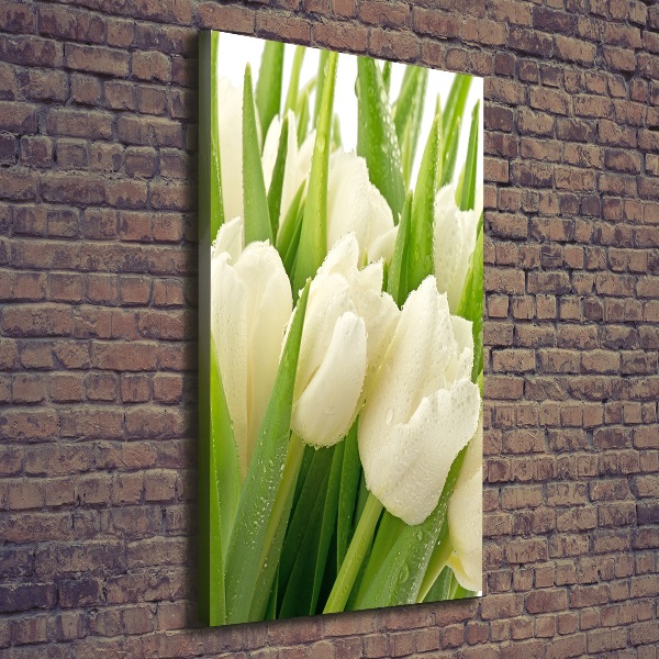 Canvas wall art White tulips