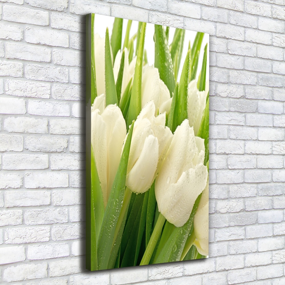 Canvas wall art White tulips