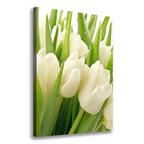 Canvas wall art White tulips