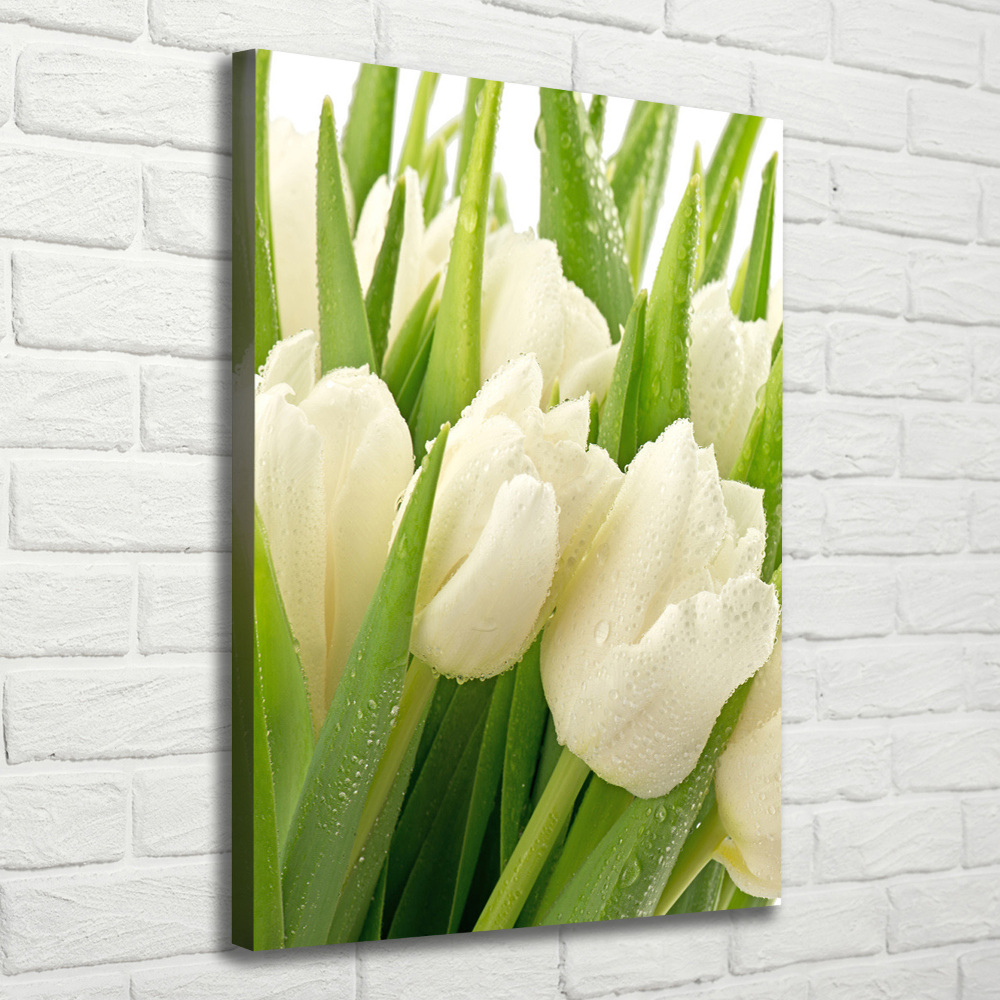 Canvas wall art White tulips