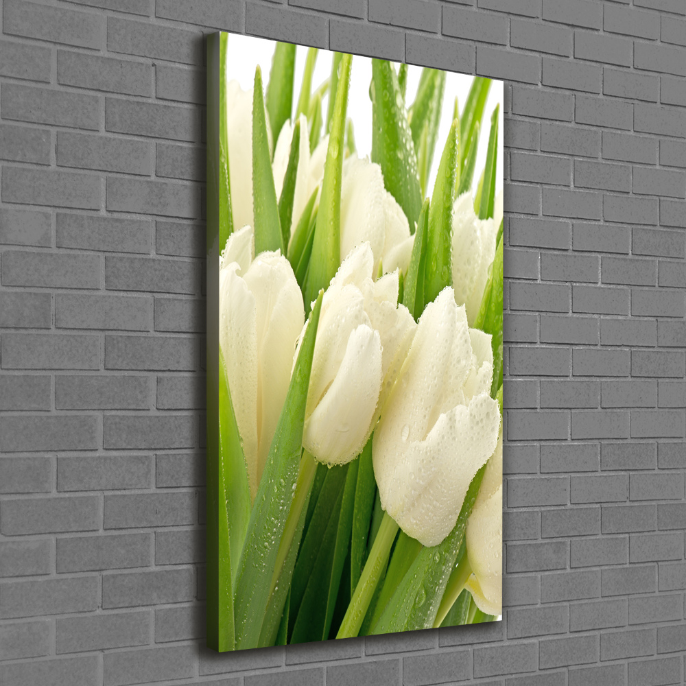 Canvas wall art White tulips