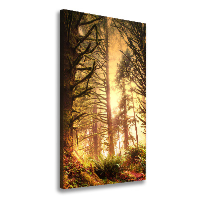 Canvas wall art the rainforest