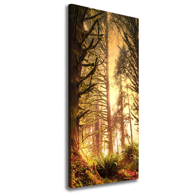 Canvas wall art the rainforest