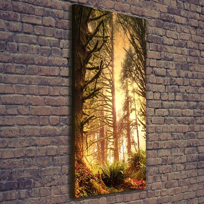 Canvas wall art the rainforest