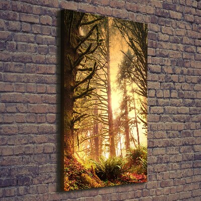 Canvas wall art the rainforest