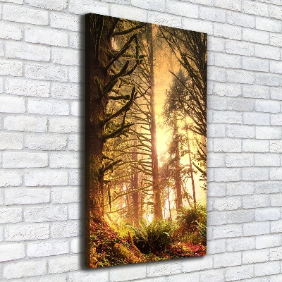 Canvas wall art the rainforest