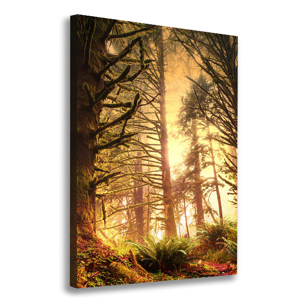 Canvas wall art the rainforest