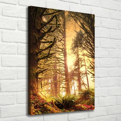 Canvas wall art the rainforest