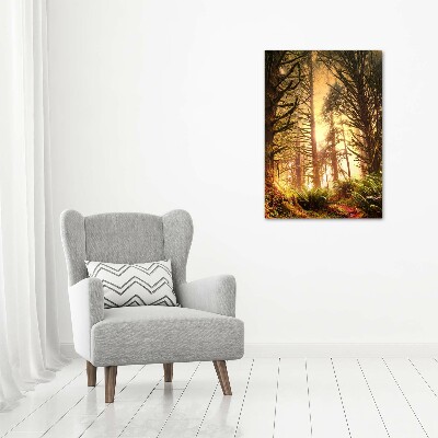 Canvas wall art the rainforest