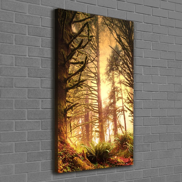 Canvas wall art the rainforest