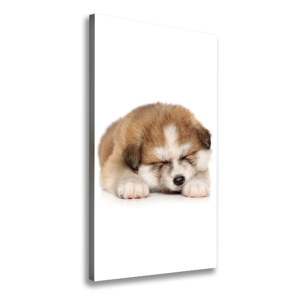 Canvas wall art Akita puppy