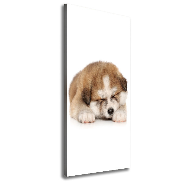 Canvas wall art Akita puppy