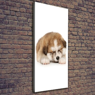 Canvas wall art Akita puppy