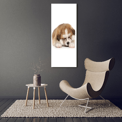 Canvas wall art Akita puppy