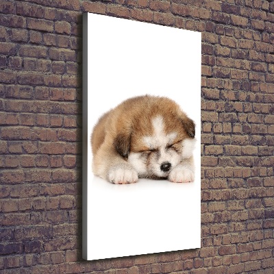 Canvas wall art Akita puppy