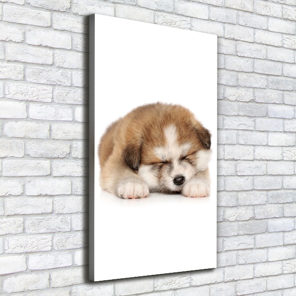 Canvas wall art Akita puppy