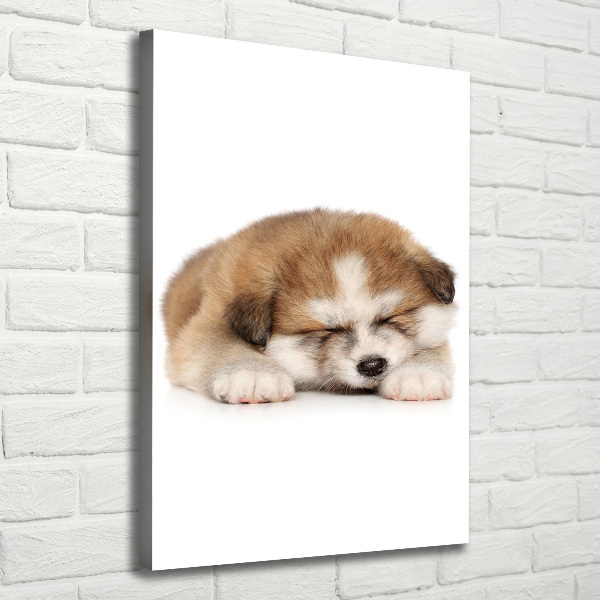 Canvas wall art Akita puppy