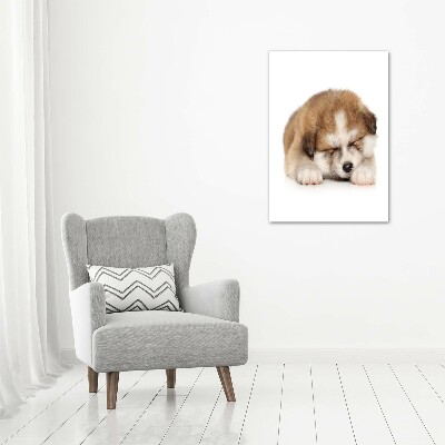 Canvas wall art Akita puppy