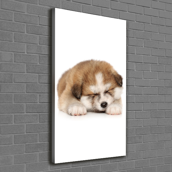 Canvas wall art Akita puppy