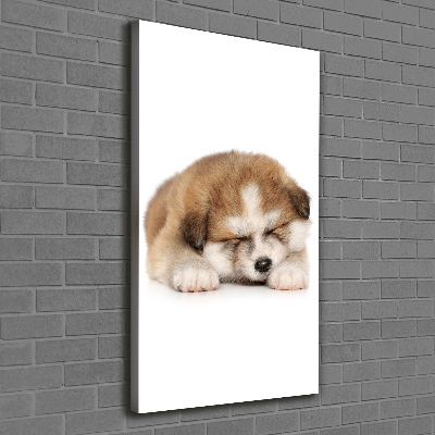 Canvas wall art Akita puppy