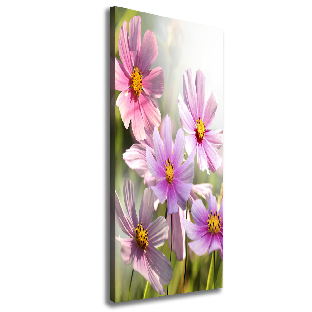 Canvas wall art Field flowers