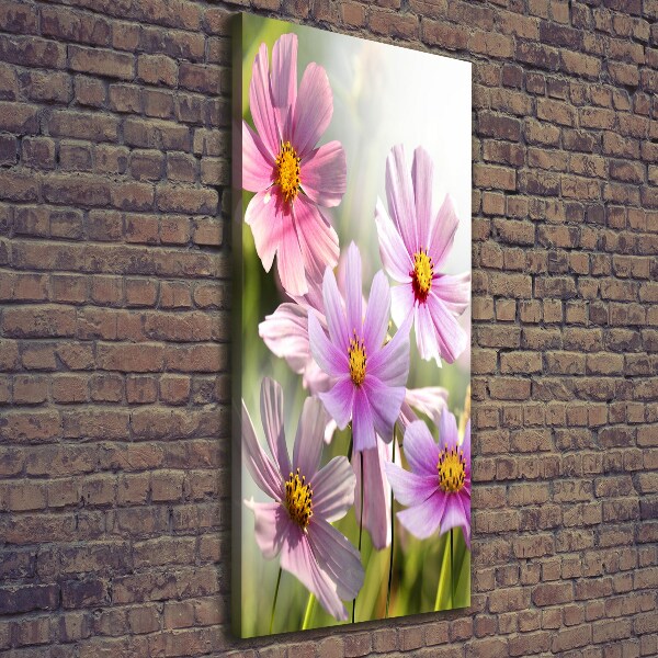 Canvas wall art Field flowers