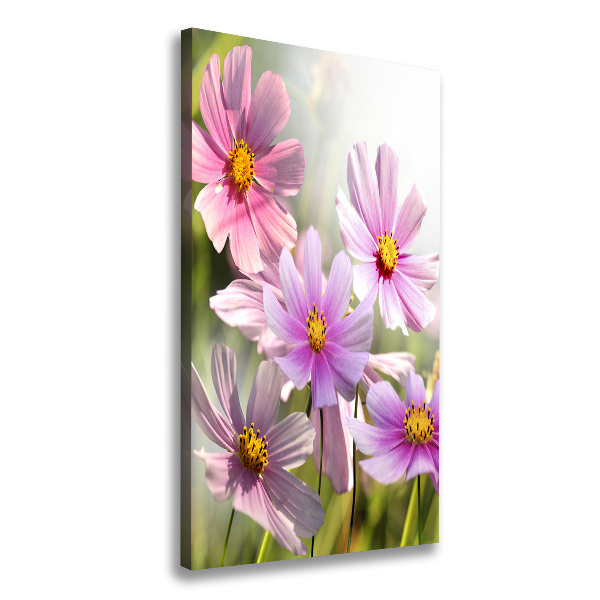 Canvas wall art Field flowers