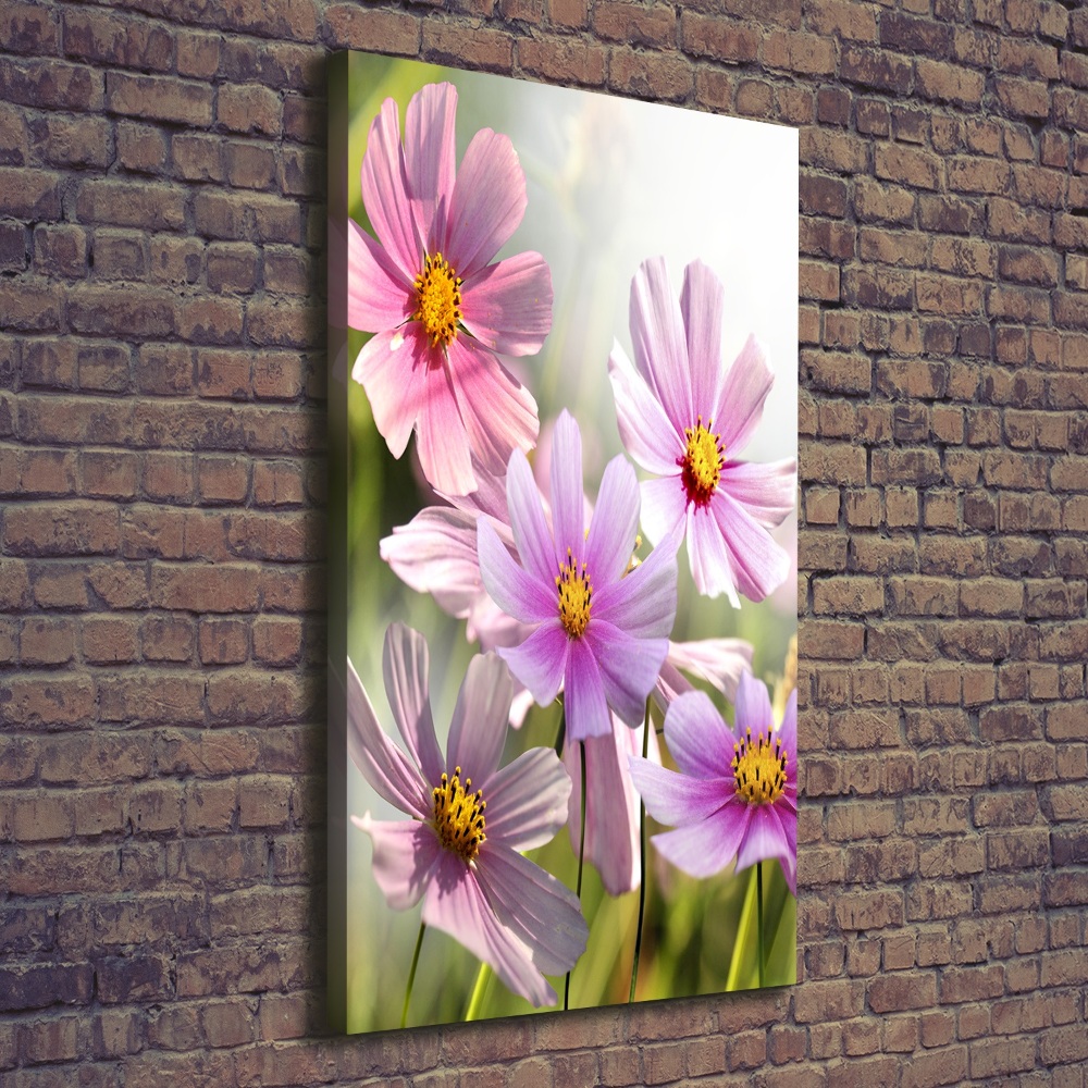 Canvas wall art Field flowers