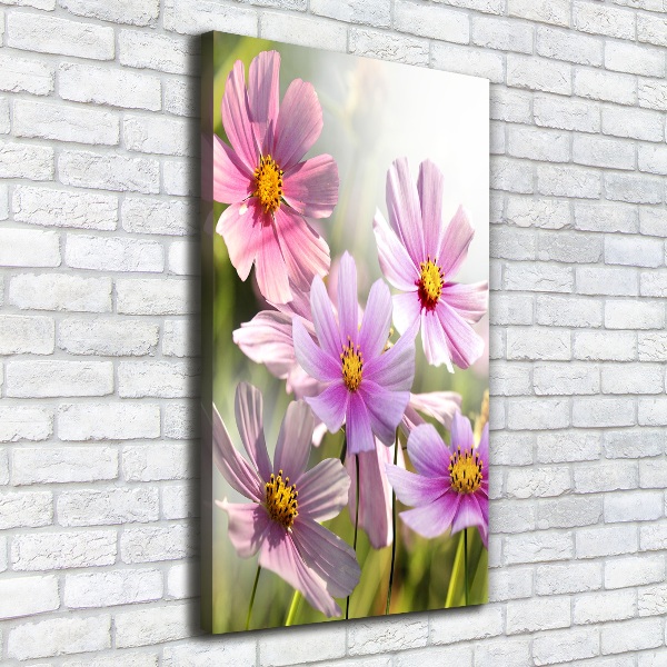 Canvas wall art Field flowers