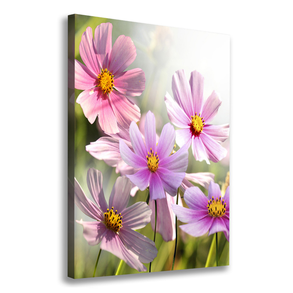 Canvas wall art Field flowers