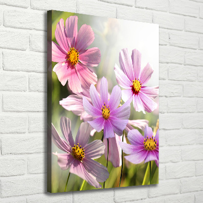 Canvas wall art Field flowers