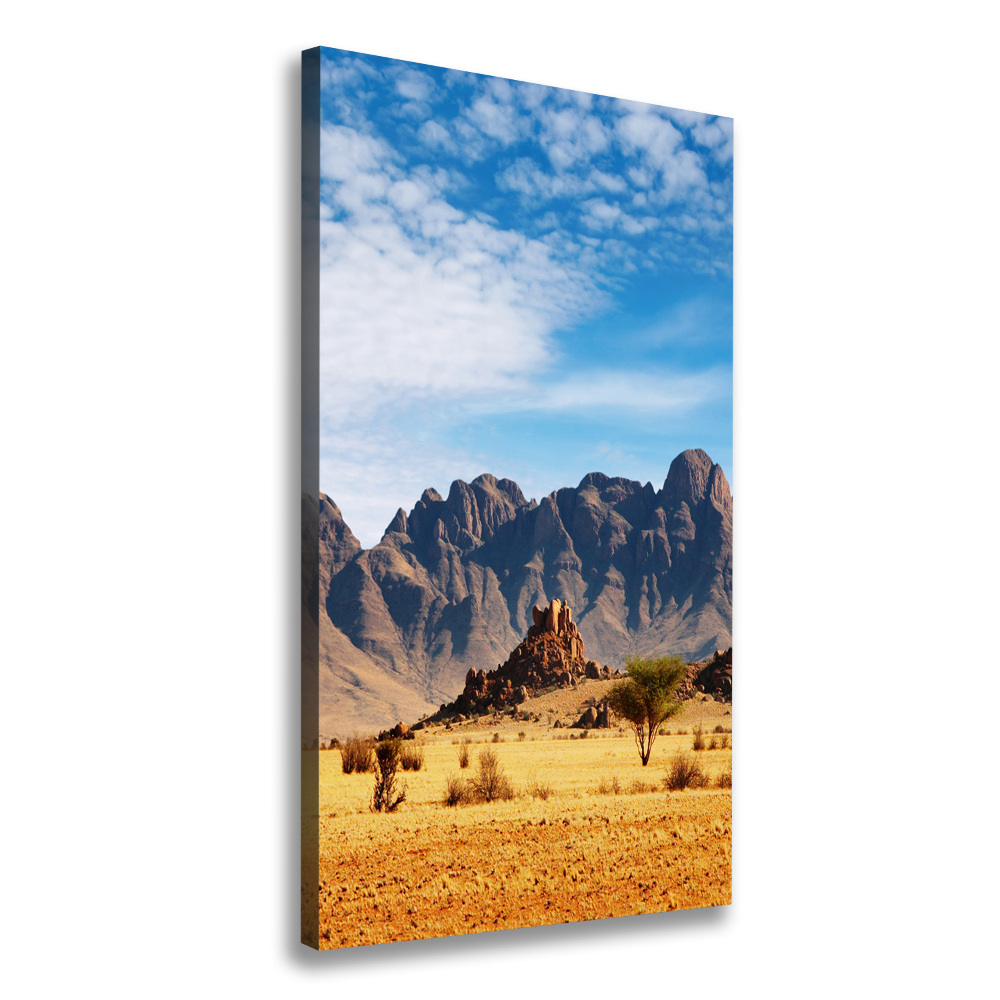 Canvas wall art Namibia desert