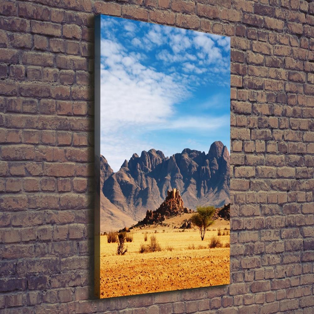 Canvas wall art Namibia desert