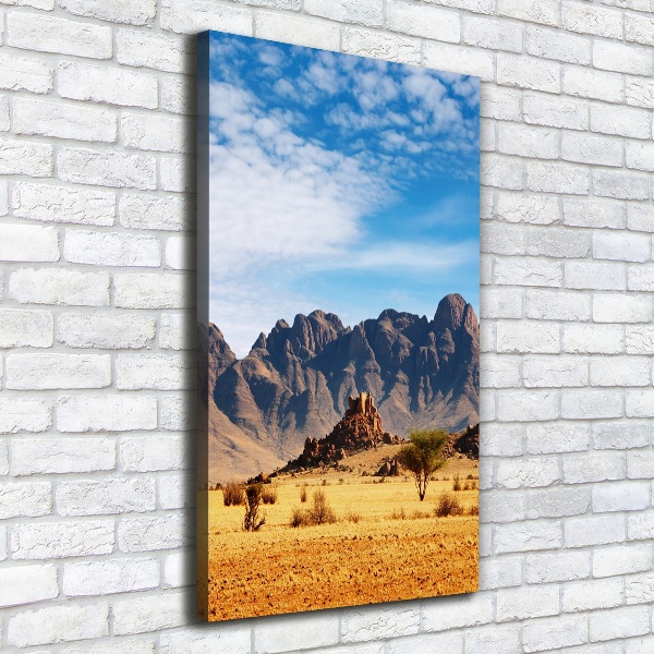 Canvas wall art Namibia desert