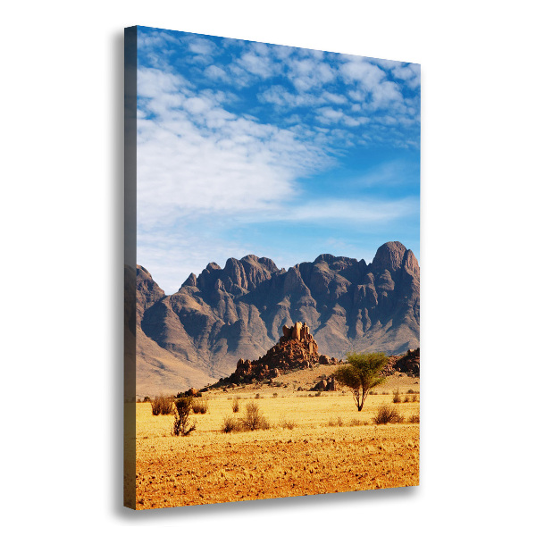 Canvas wall art Namibia desert