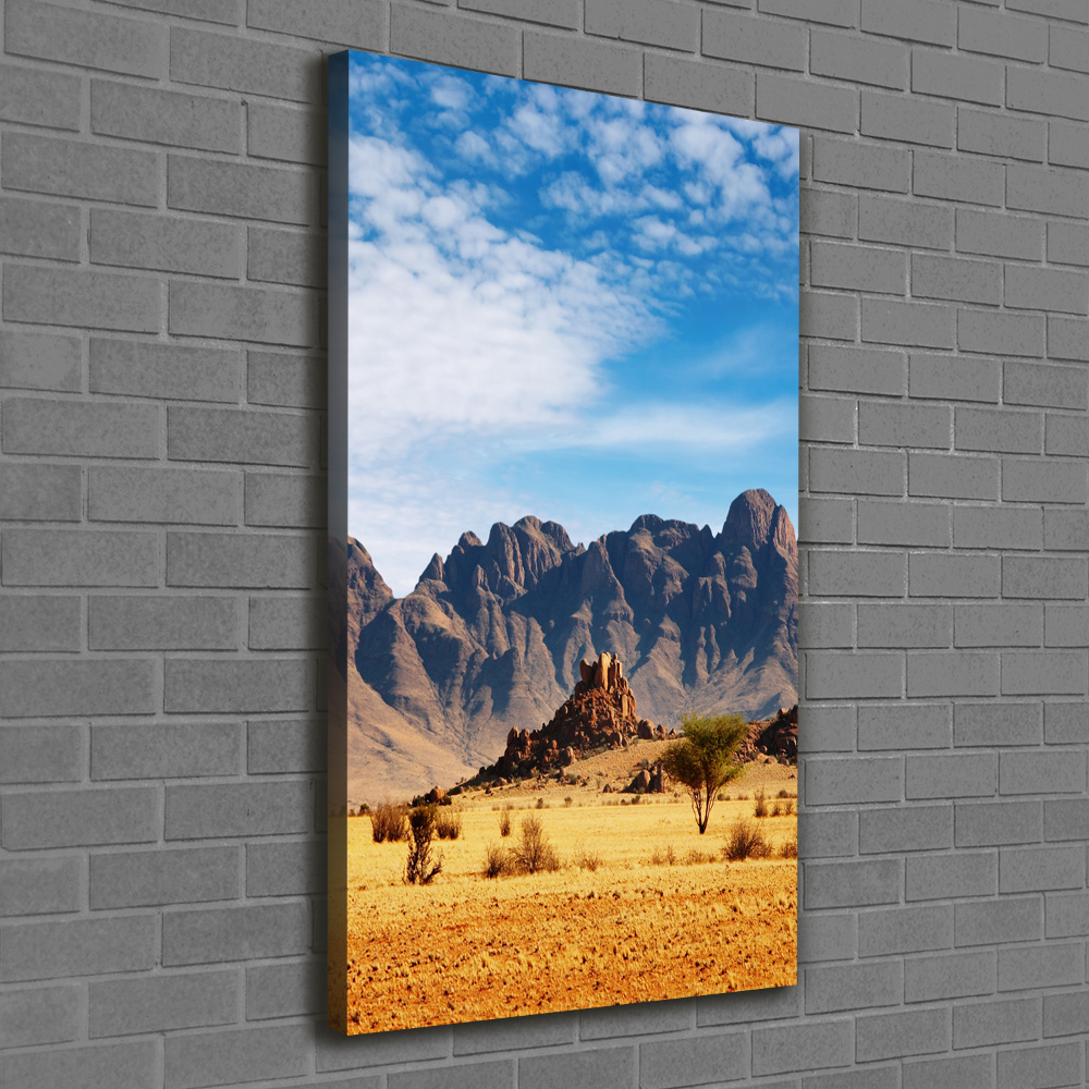 Canvas wall art Namibia desert