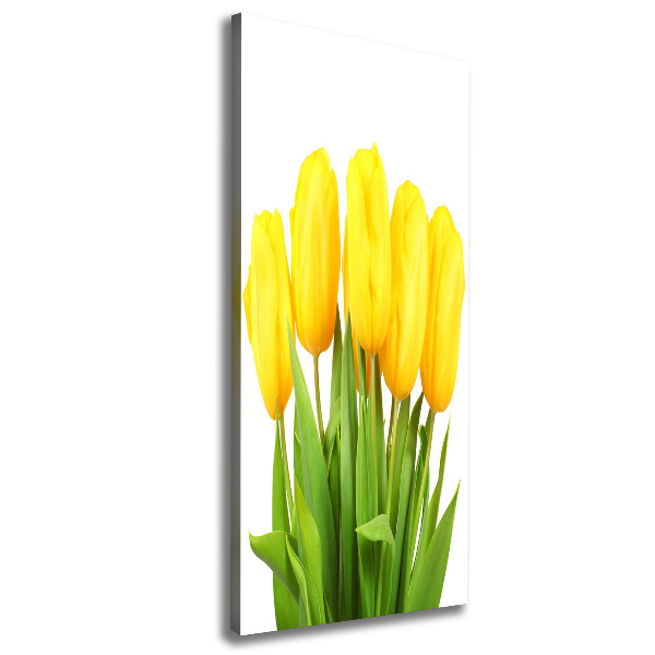 Canvas wall art Yellow tulips