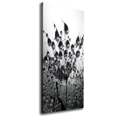 Canvas wall art Dandelion seeds