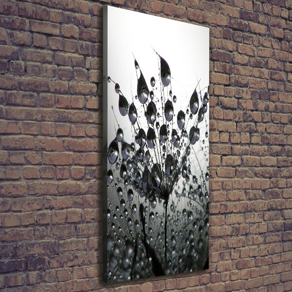 Canvas wall art Dandelion seeds