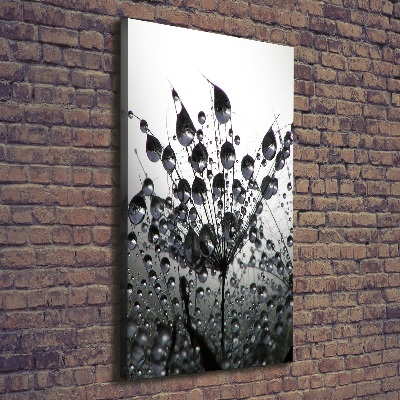 Canvas wall art Dandelion seeds