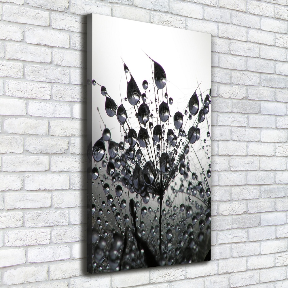 Canvas wall art Dandelion seeds