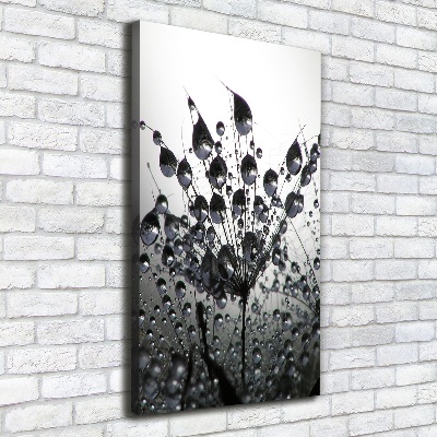 Canvas wall art Dandelion seeds