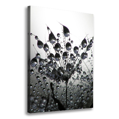 Canvas wall art Dandelion seeds