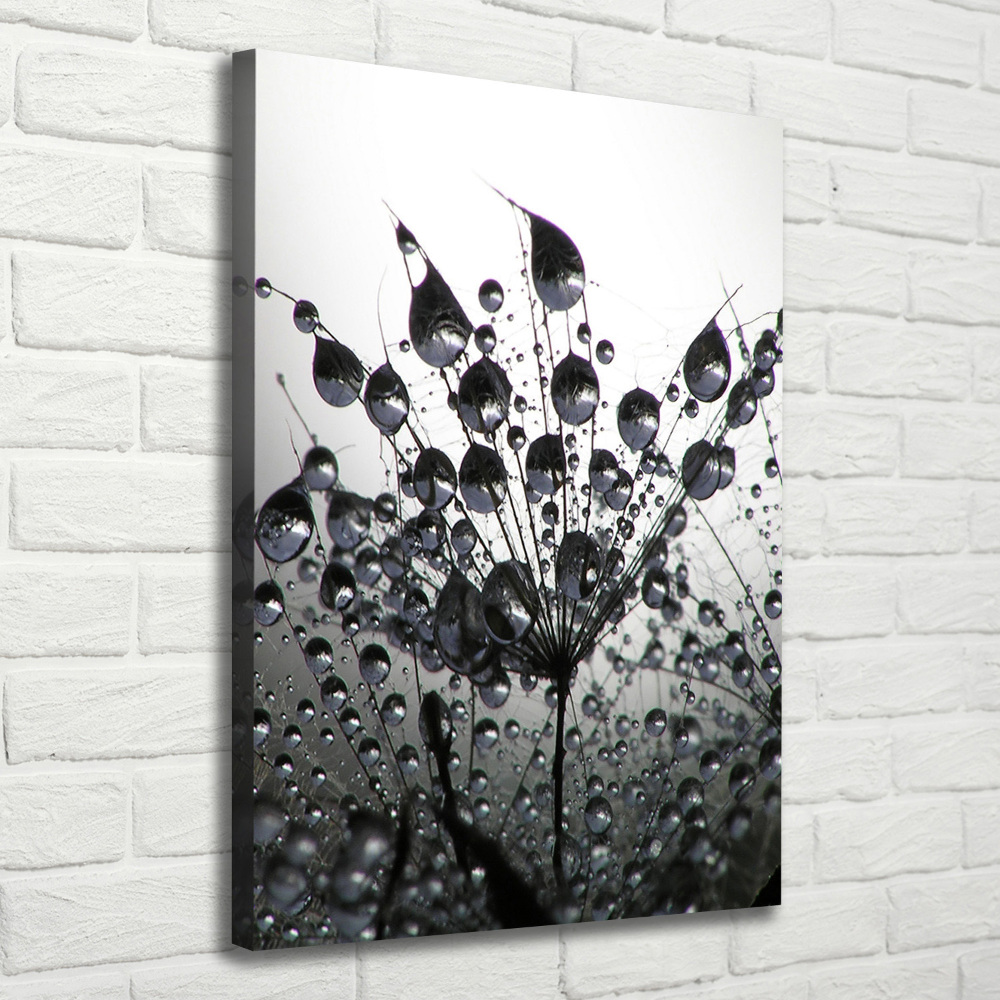 Canvas wall art Dandelion seeds